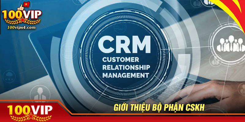 Giới thiệu về bộ phận CSKH tại 100VIP