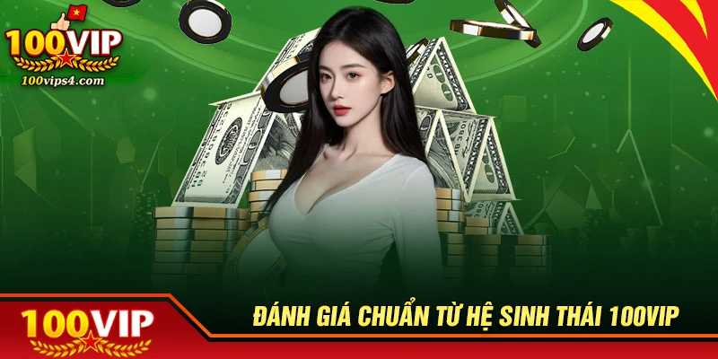 Những nhận xét thực tế từ thương hiệu bắt tay cùng 100VIP