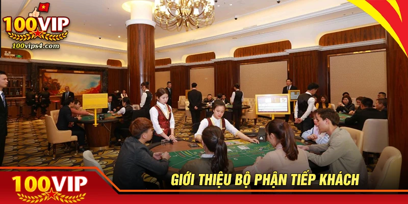 Giới thiệu về bộ phận tiếp khách tại 100VIP
