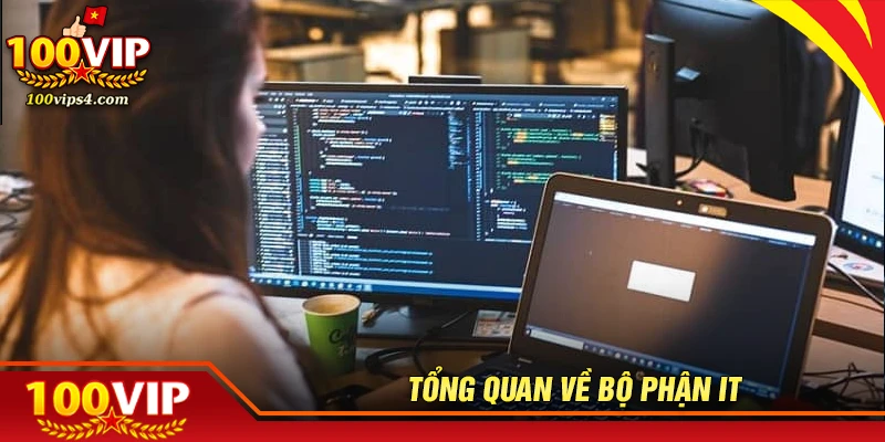Tổng quan về bộ phận IT tại tập đoàn 100VIP